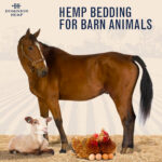Dominion Hemp Bedding for barn animals.