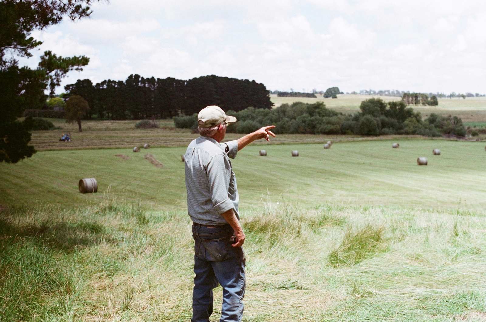 Dominion Hemp Founder Marty Phipps Comments on Virginia Hemp THC Limit