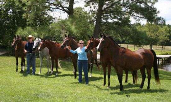 Liberty Arabians Stable